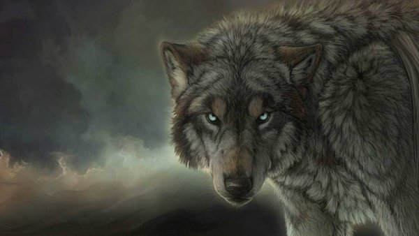 Одинокий волк одинокий волк