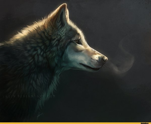 Волк и Луна