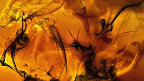 Огонь по клеткам