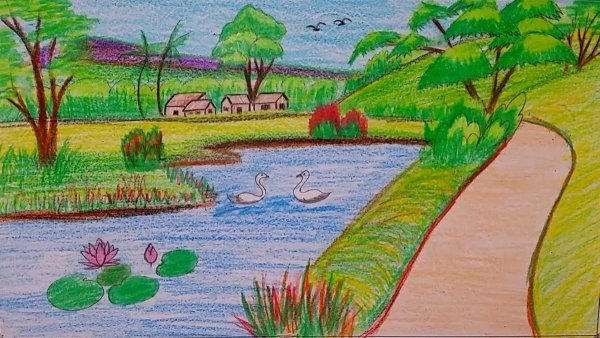 Рисунки природы