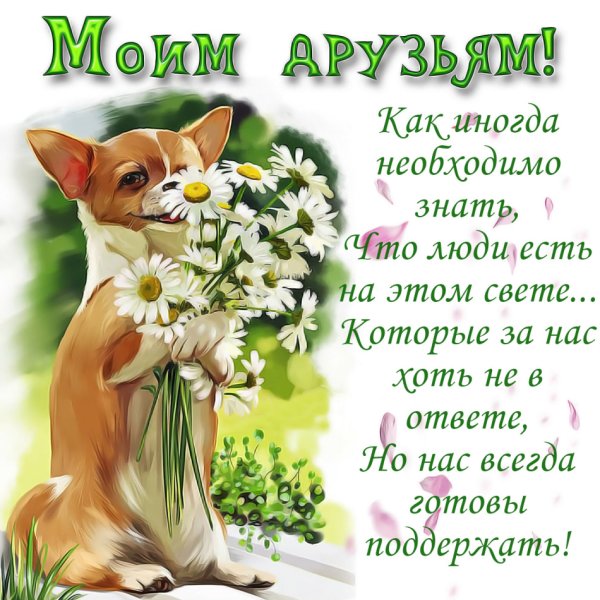 Красивые пожелания