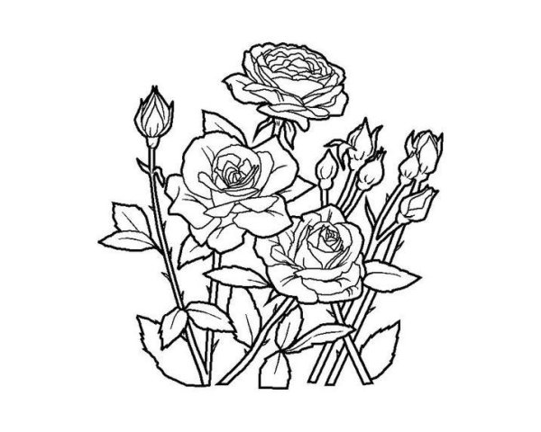 Раскраска букет цветов