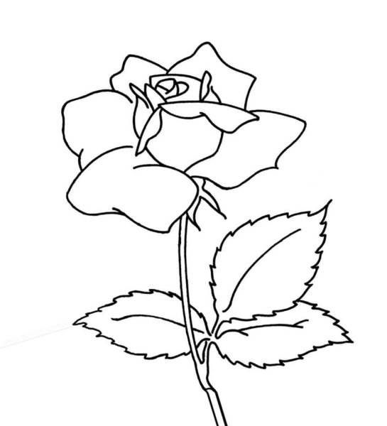 Трафарет "цветы"