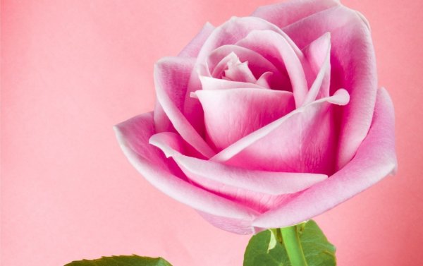 Открытка рисунок