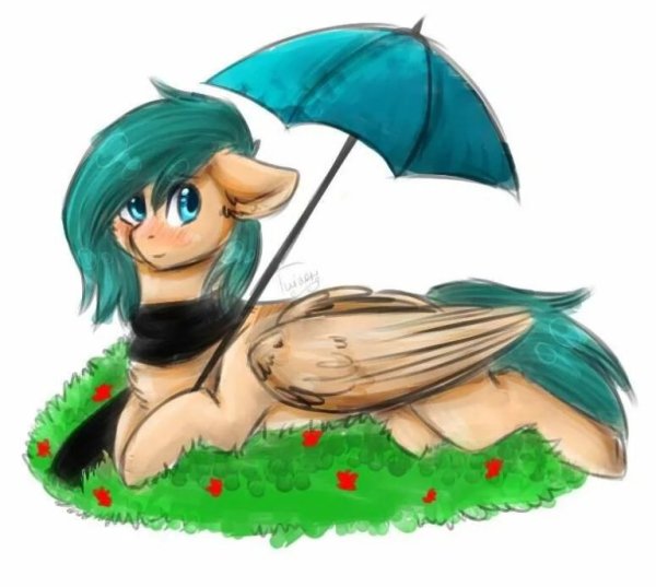 Земля королей (FCX) Amino