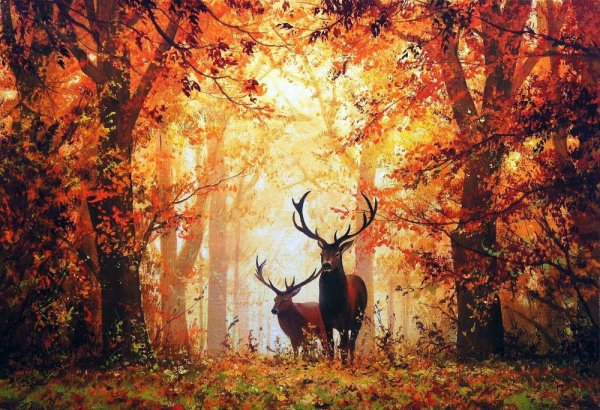 Осенний1 пейзаж Кушнер