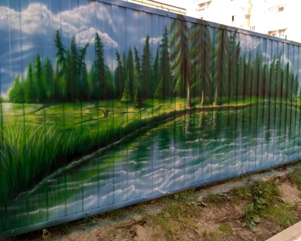 Фотосетка Березовая роща