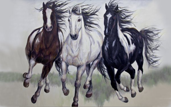 Красивые рисунки лошадей карандашом