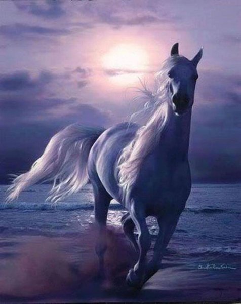 Красивые картины лошадей