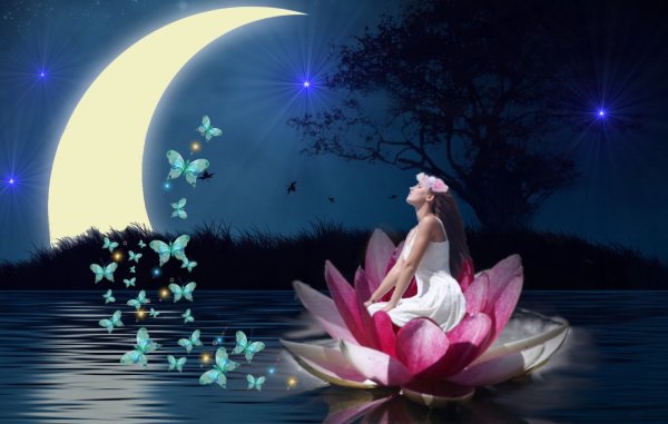 Спокойной ночи сладких снов