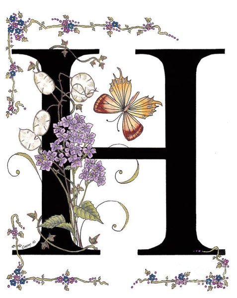 Необычная буква н