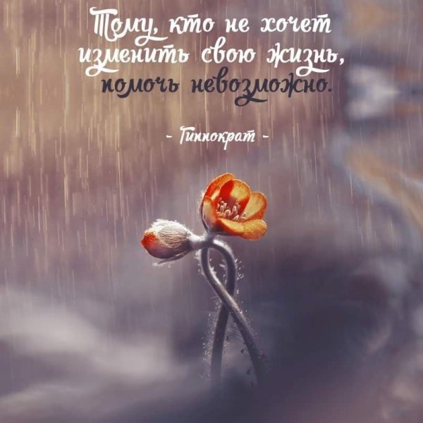 Цитаты про жизнь и любовь