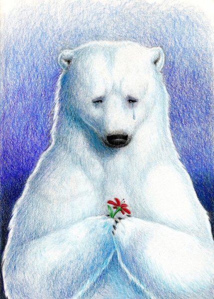 Белый медведь рисунок