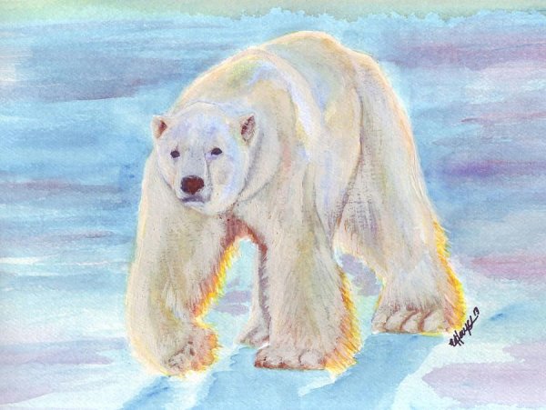 Белый медведь пастелью