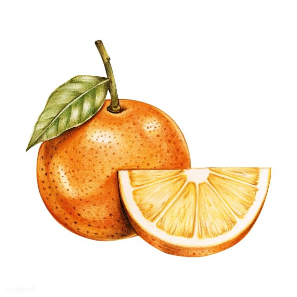 Рисунки фруктов