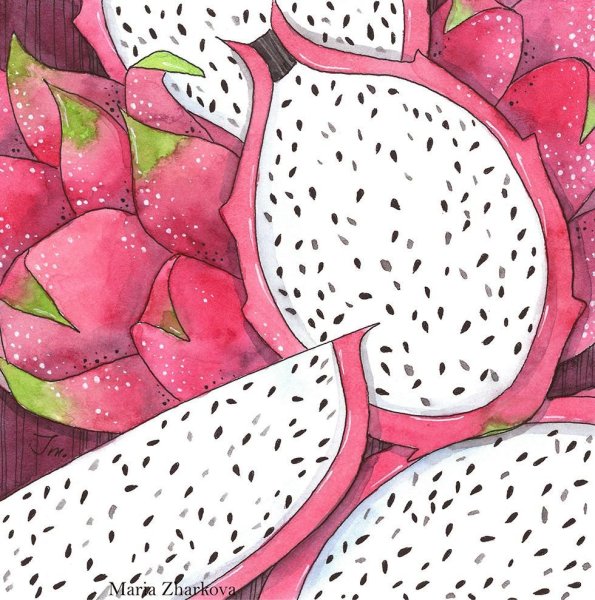 Фрукты рисунок