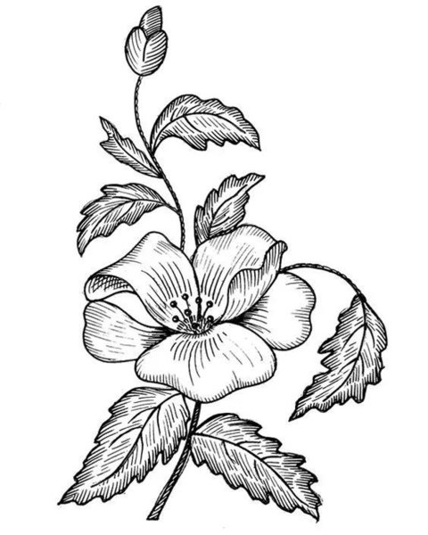 Эскизы для вышивки гладью