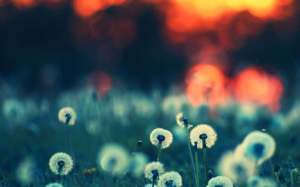 Обои на заставку экрана блокировки