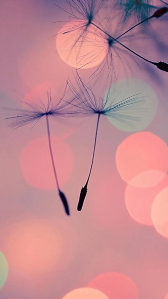 Стильная заставка на экран телефона