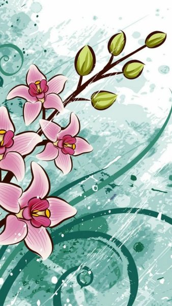 Красивые рисунки цветов