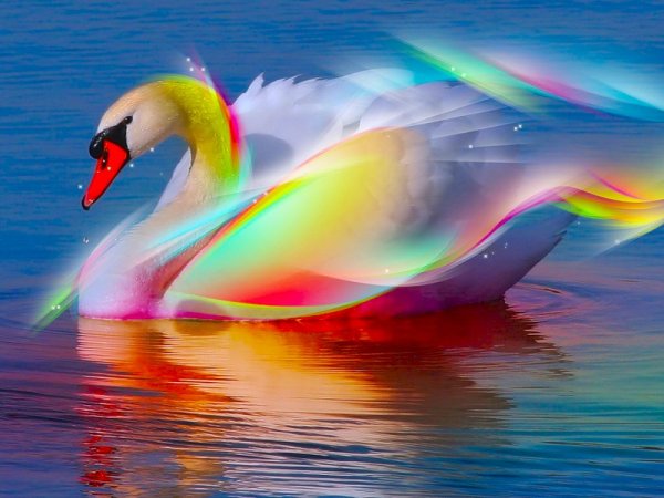 Красивая яркая природа