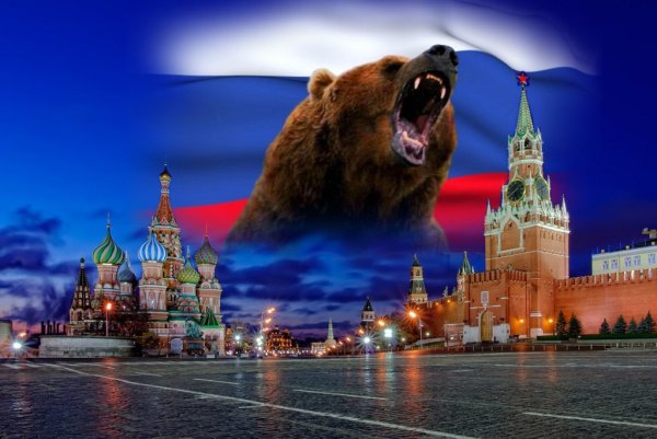 Медведь на фоне российского флага