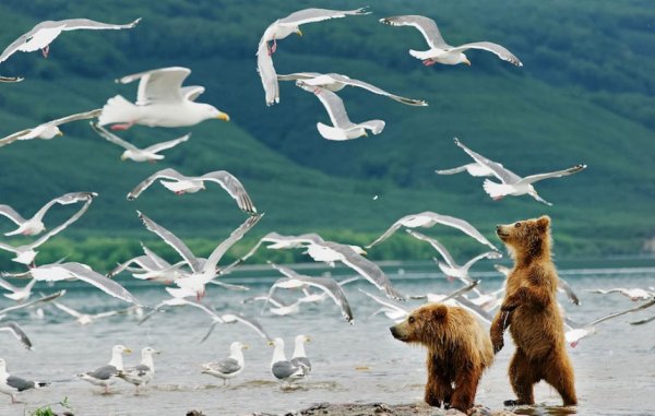 Кижи Валаам Соловки