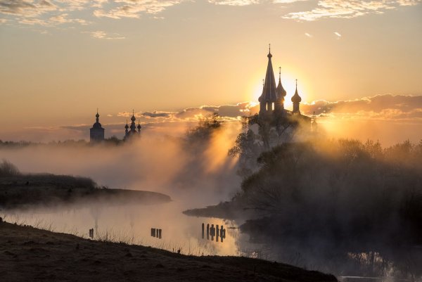 Бурый медведь на берегу курильского озера