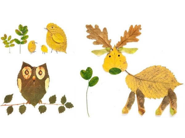 Аппликация из природного материала