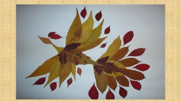 Композиция из листьев на альбомном листе