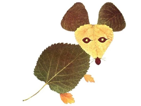 Аппликация из листьев