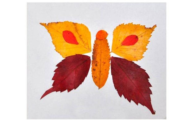 Композиция из листьев