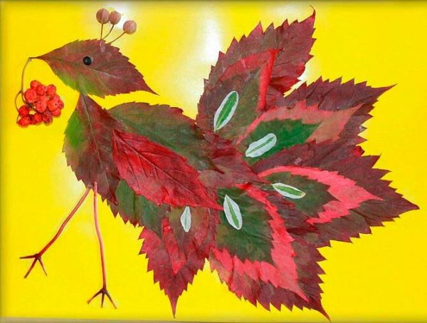 Композиция из осенних листьев на бумаге