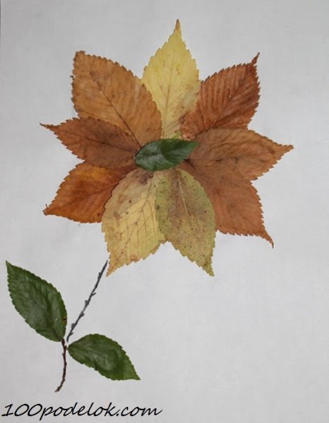 Композиция из листьев