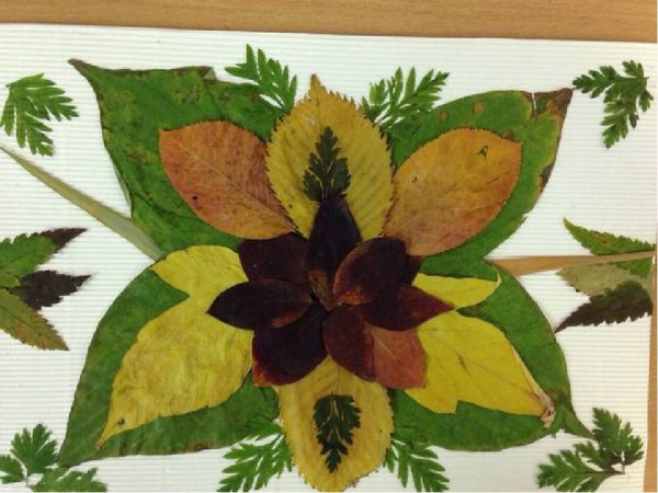 Композиция из листьев на картоне