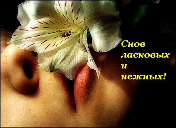 Нежных и ласковых снов