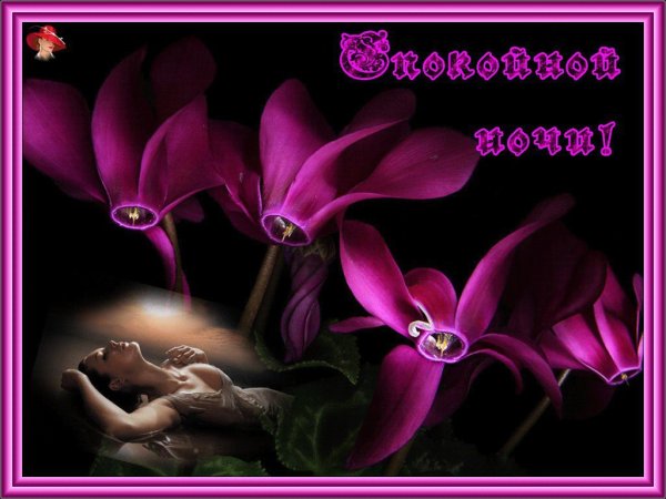 Доброй ночи гифки