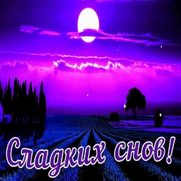 Спокойной ночи сладких снов