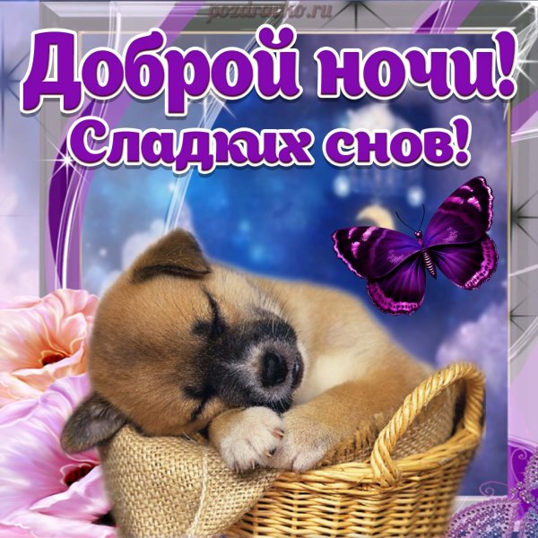Доброй ночи сладких снов