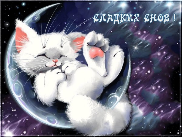 Спокойной ночи зайчик