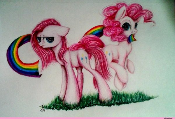 Пони рисунок цветной