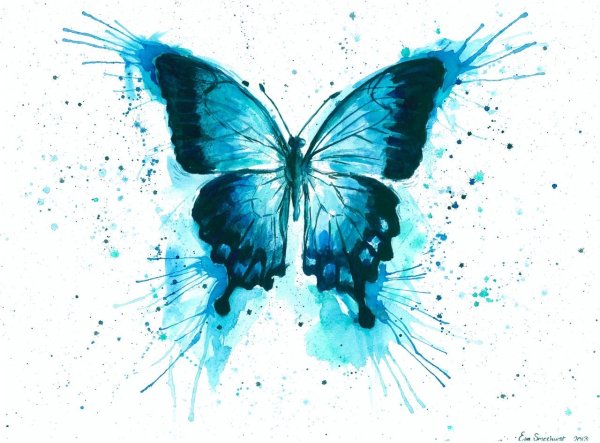 Цветы на синем фоне