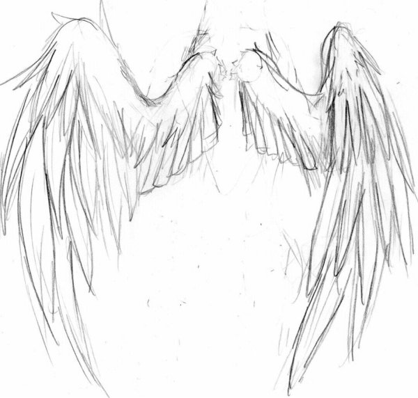 Крылья сзади референс