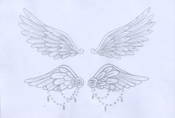 Крылья ангела карандашом