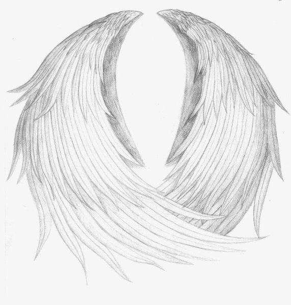 Рисование крыльев ангела