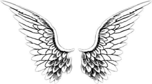 Крылья ангела референс