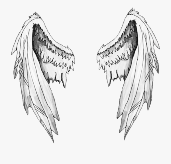 Крылья карандашом