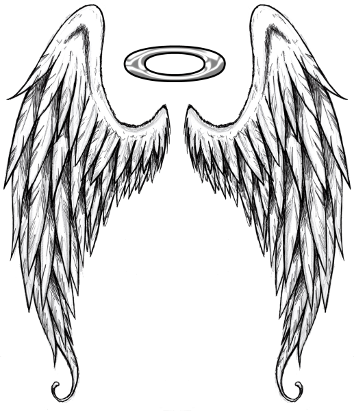 Крылья карандашом