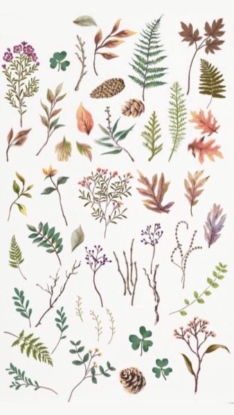 Трава иллюстрация