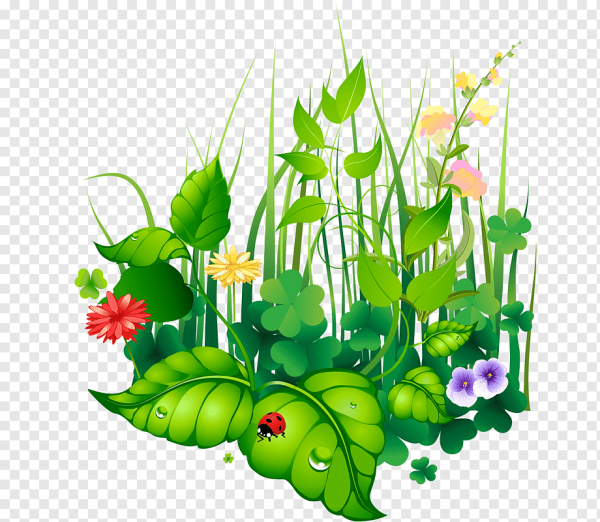 Мультяшные растения